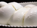 treccia-mozzarella-di-bufala